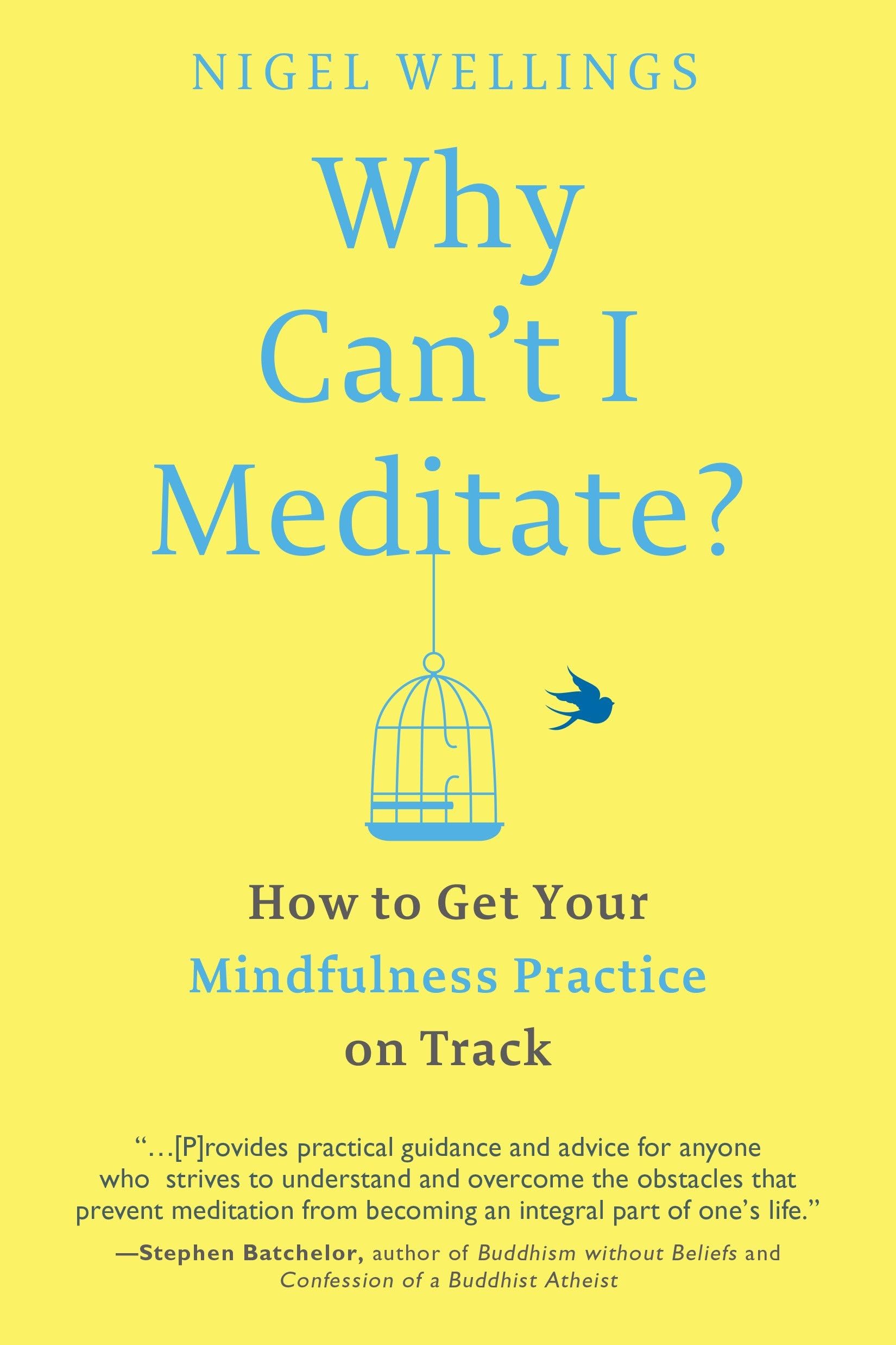 Why Can't I Meditate?: How to Get Your Mindfulness Practice on Track Business, Finance & Career