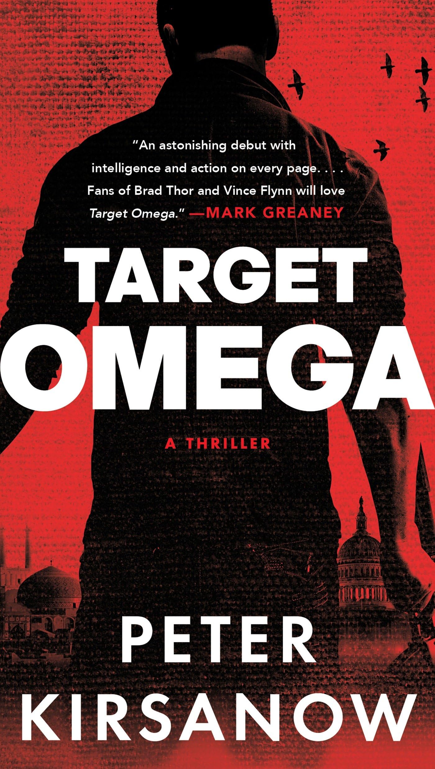 Target Omega (A Mike Garin Thriller, Band 1) Poetry