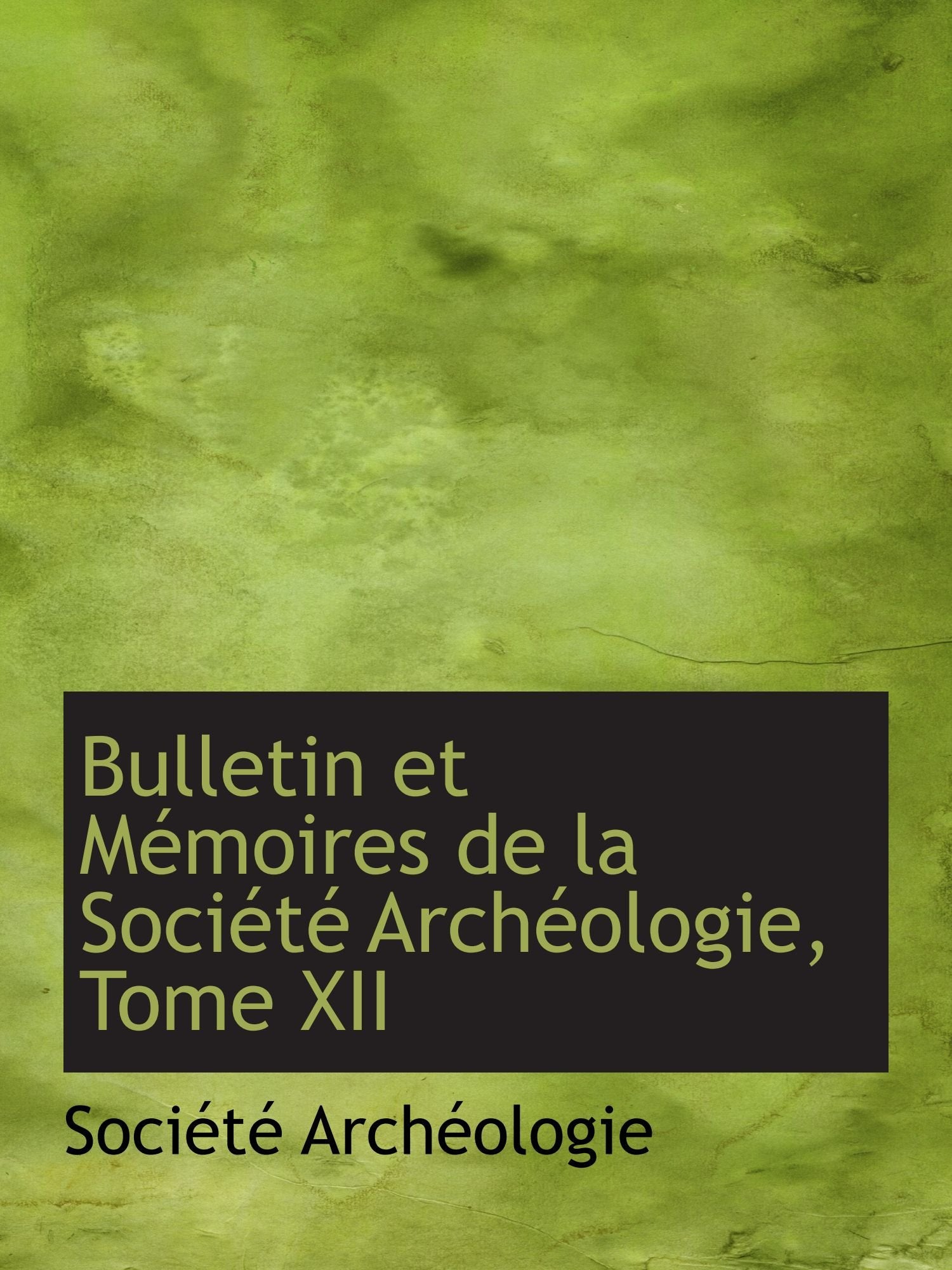 Bulletin et Mémoires de la Société Archéologie, Tome XII Politics & History