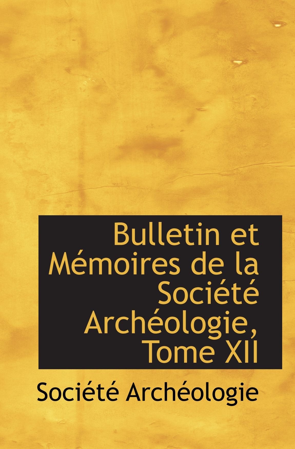Bulletin et Mémoires de la Société Archéologie, Tome XII Politics & History