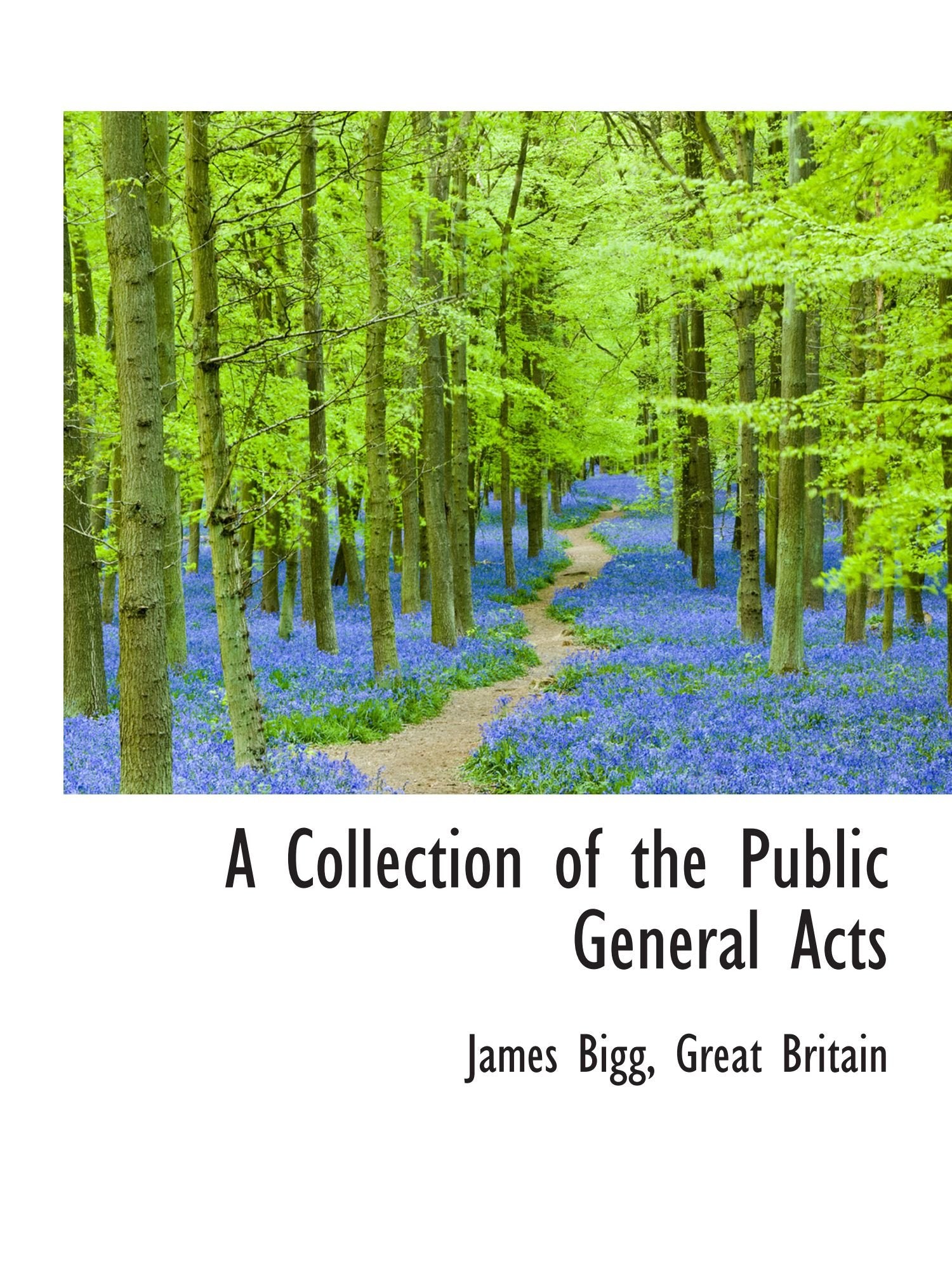 A Collection of the Public General Acts Politics & History