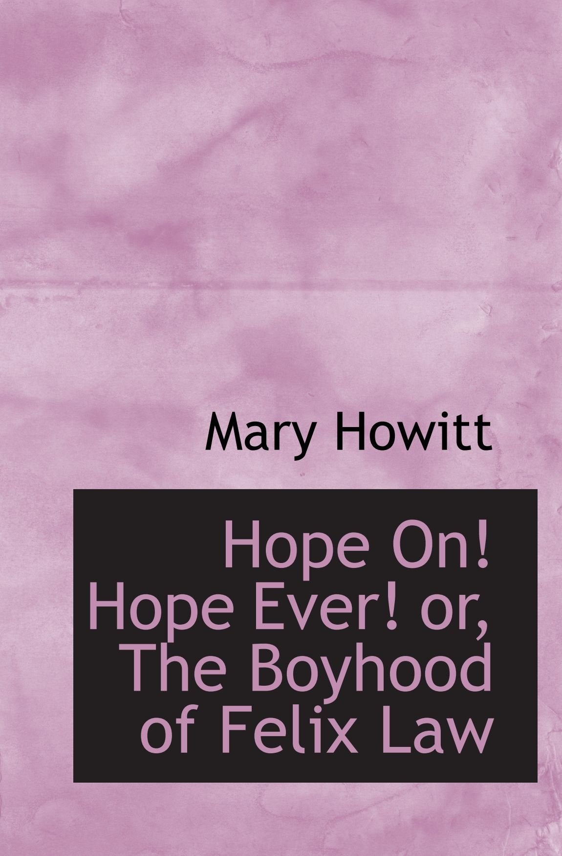 Hope On! Hope Ever! or, The Boyhood of Felix Law Politics & History