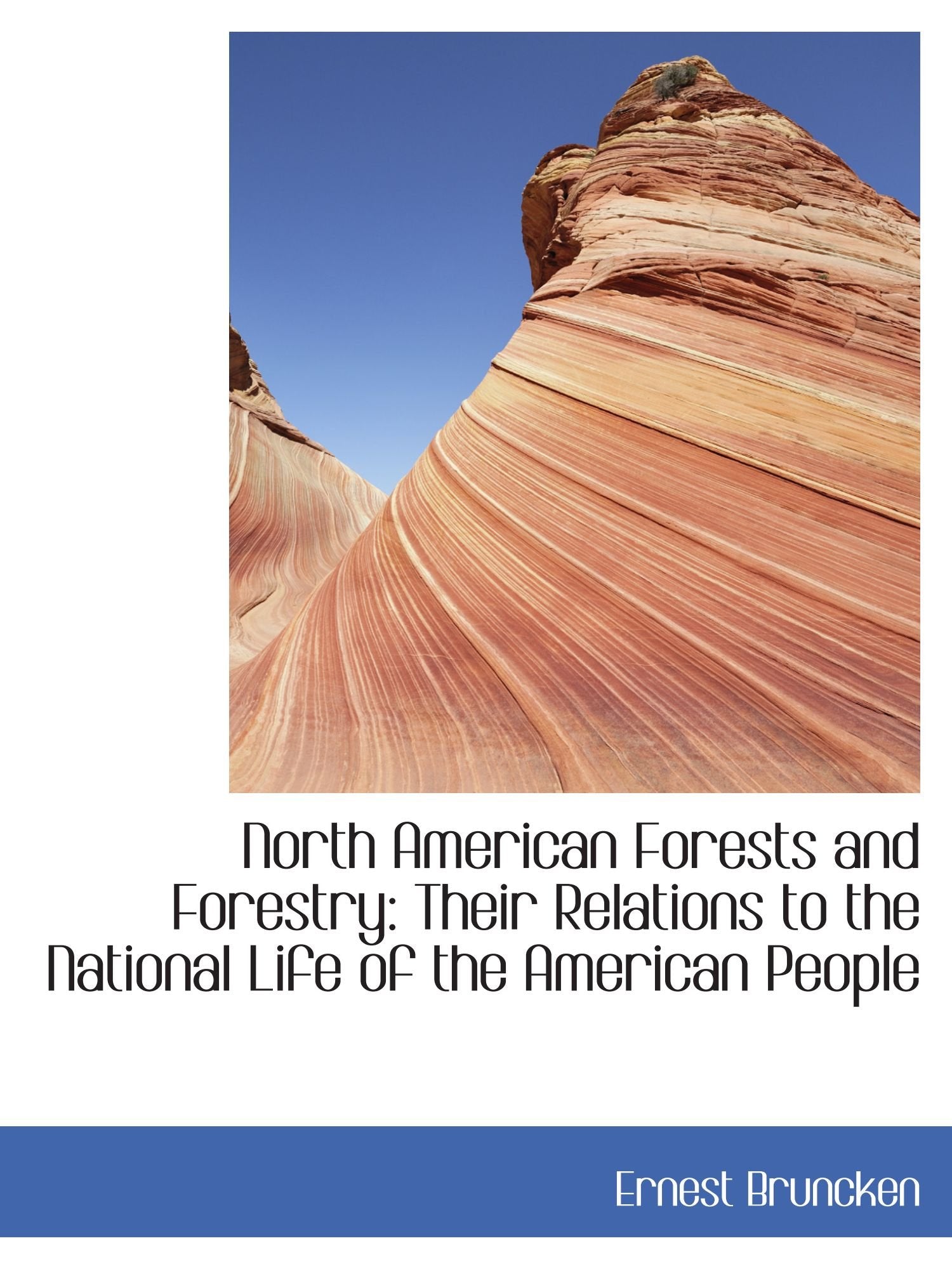 North American Forests and Forestry: Their Relations to the National Life of the American People Politics & History