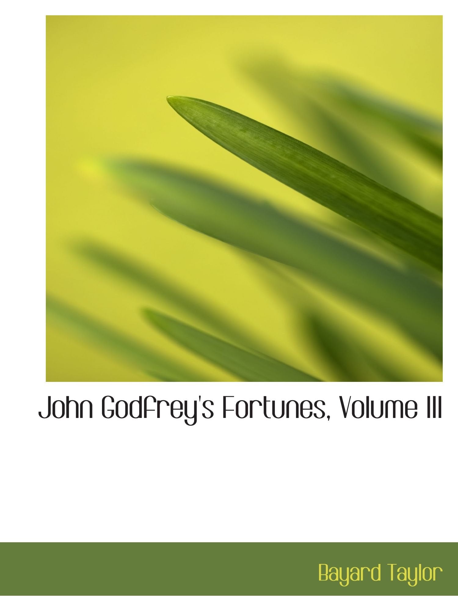 John Godfrey's Fortunes, Volume III Politics & History