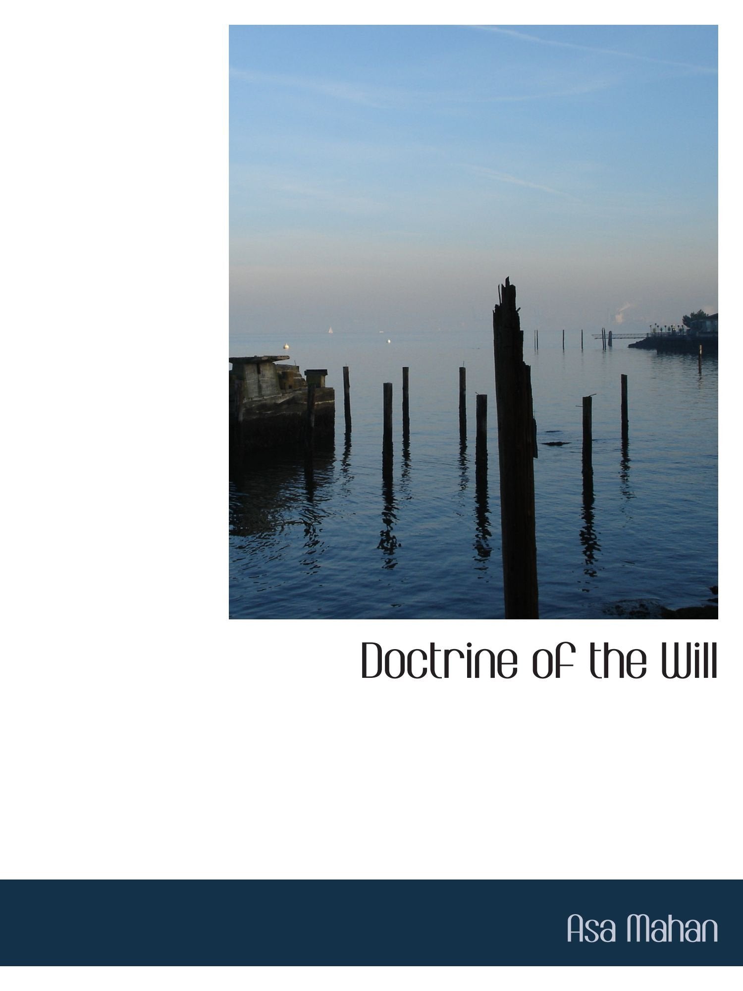 Doctrine of the Will Politics & History