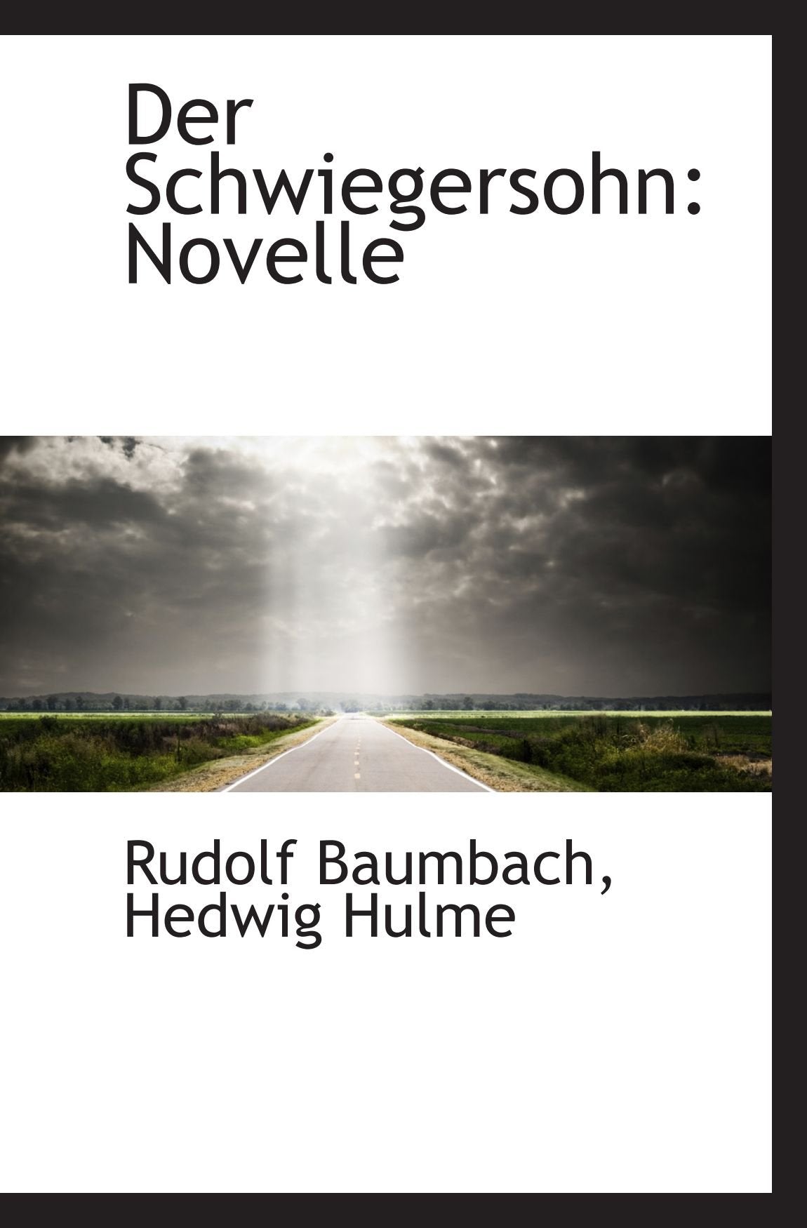 Der Schwiegersohn: Novelle Politics & History
