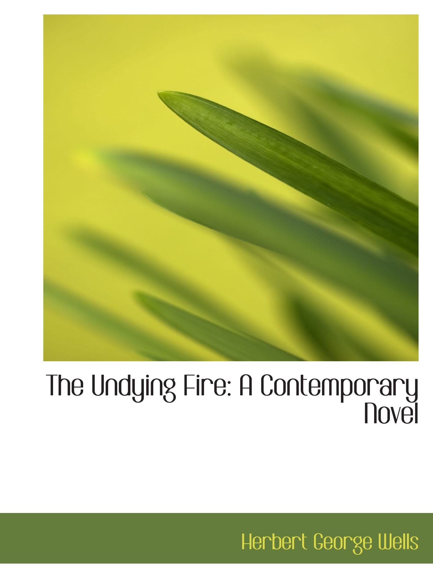 The Undying Fire: A Contemporary Novel Books