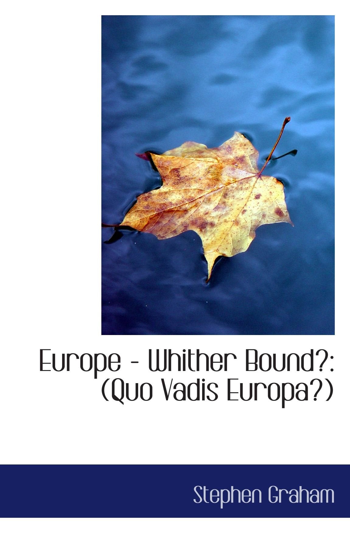 Europe - Whither Bound?: (Quo Vadis Europa?) Politics & History