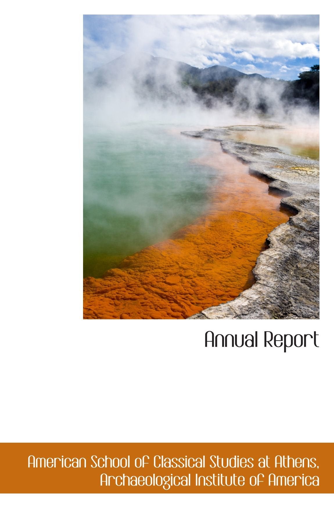 Annual Report Politics & History