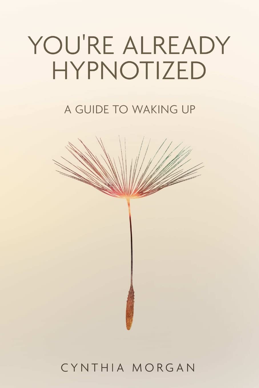 You're Already Hypnotized: A Guide to Waking Up Self-help