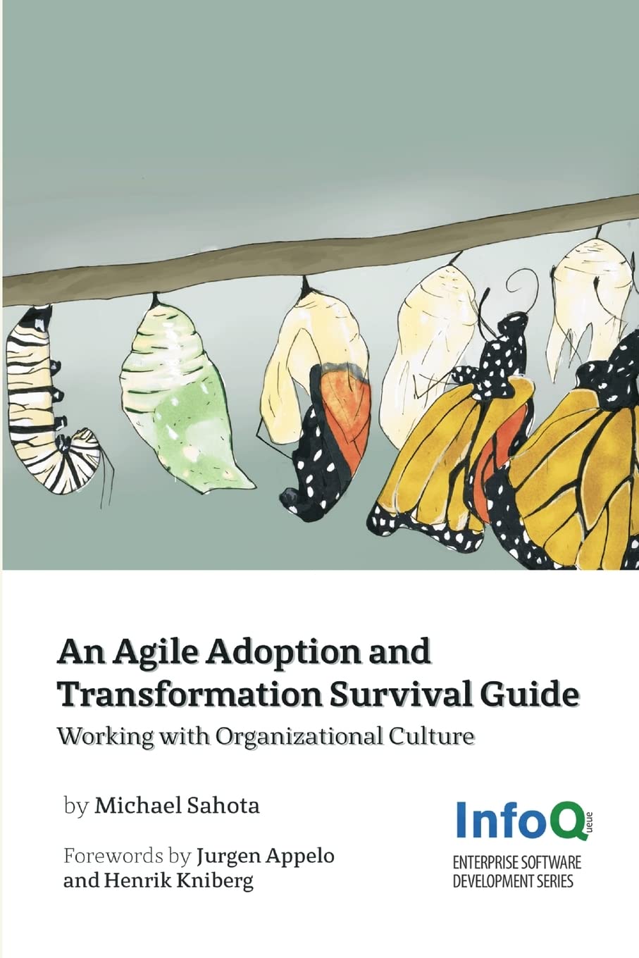 An Agile Adoption And Transformation Survival Guide Computer Science