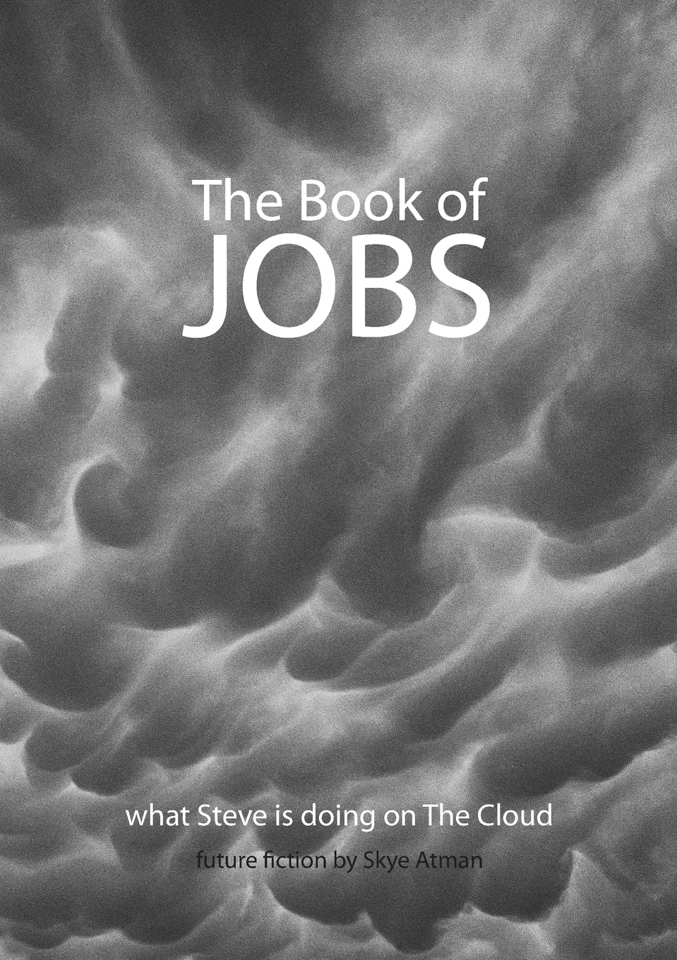 The Book of Jobs book