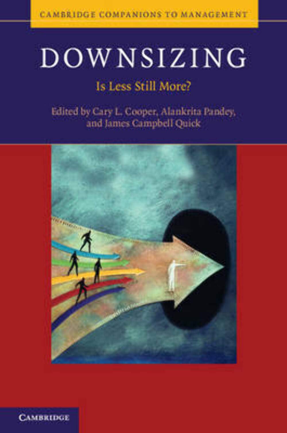 Downsizing: Is Less Still More? (Cambridge Companions to Management) Business, Finance & Career