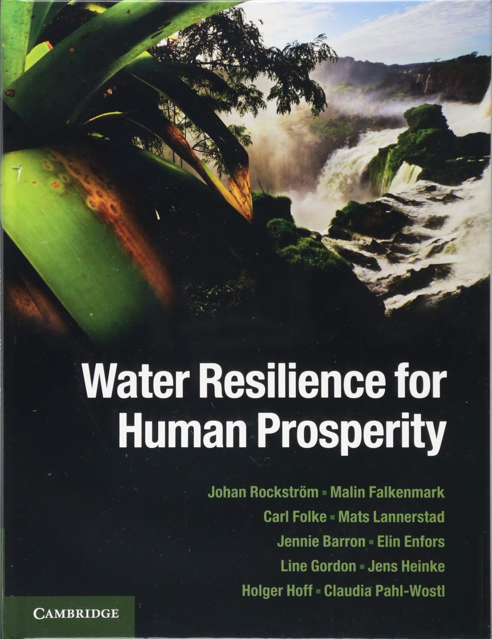 Water Resilience for Human Prosperity Business, Finance & Career