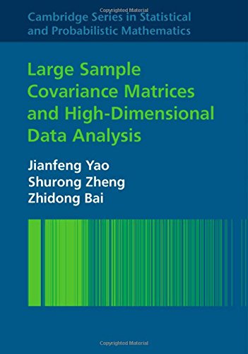 Large Sample Covariance Matrices and High-Dimensional Data Analysis (Cambridge Series in Statistical and Probabilistic Mathematics) Mathematics