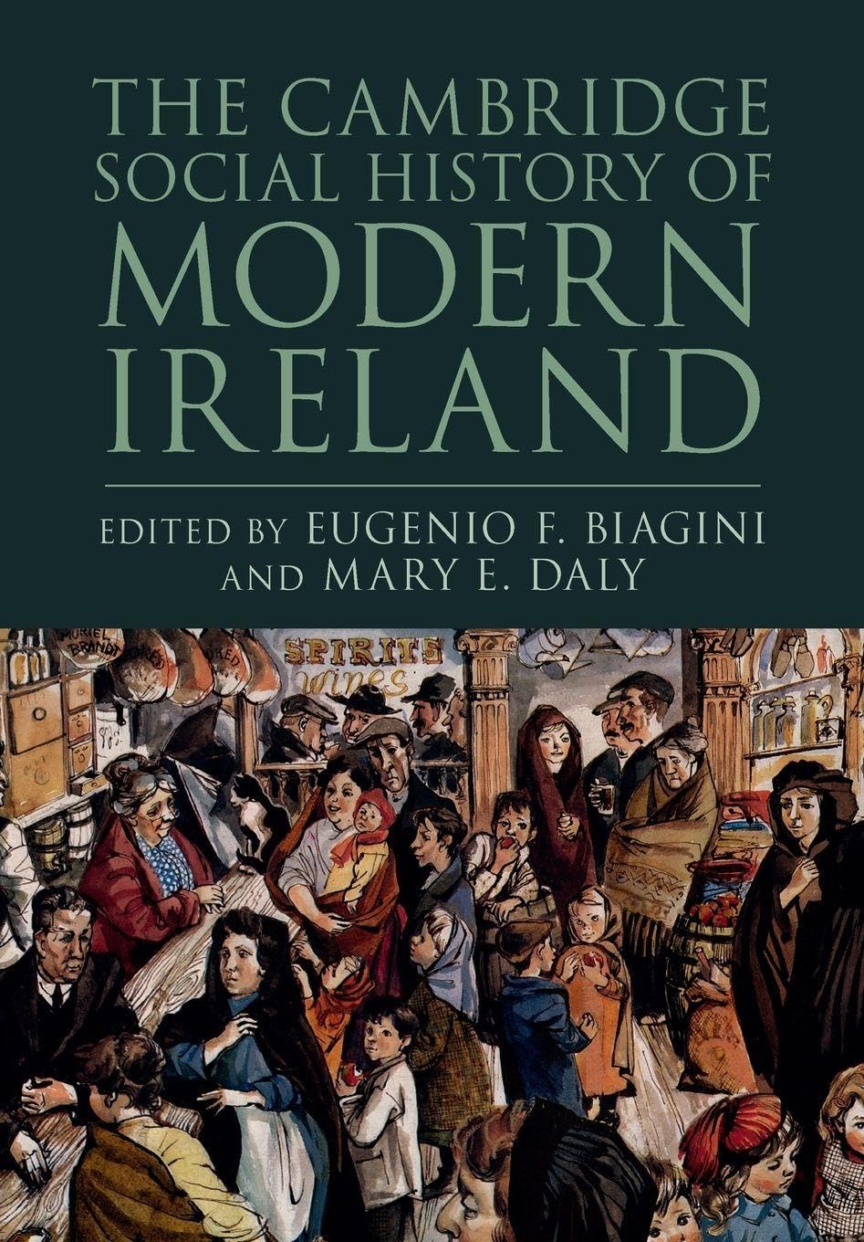 The Cambridge Social History of Modern Ireland General education