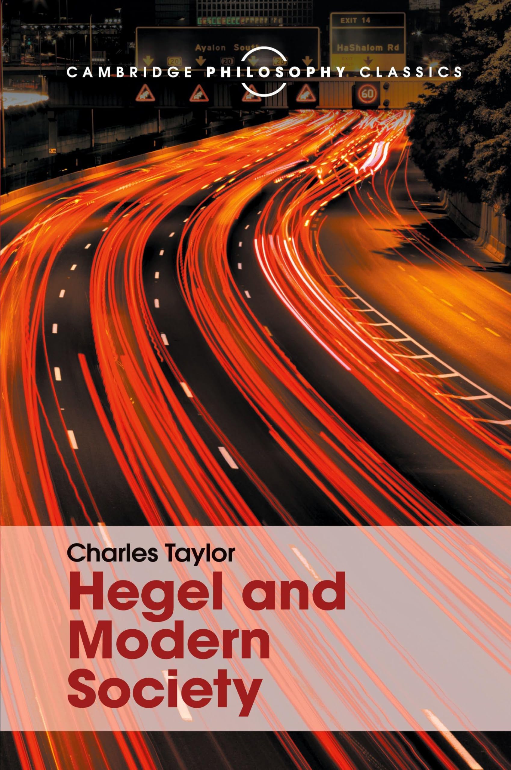 Hegel and Modern Society (Cambridge Philosophy Classics) Philosophy