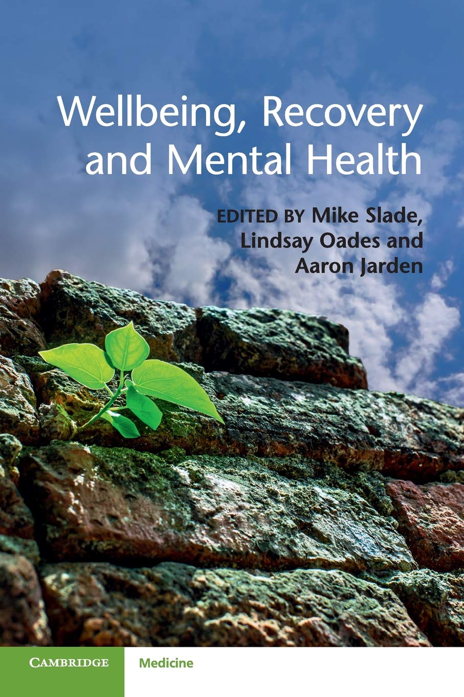 Wellbeing, Recovery and Mental Health Medicine
