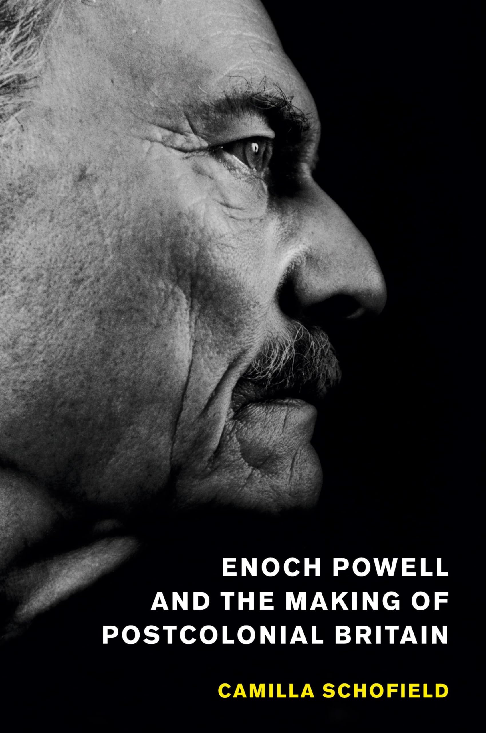 Enoch Powell and the Making of Postcolonial Britain Social Sciences