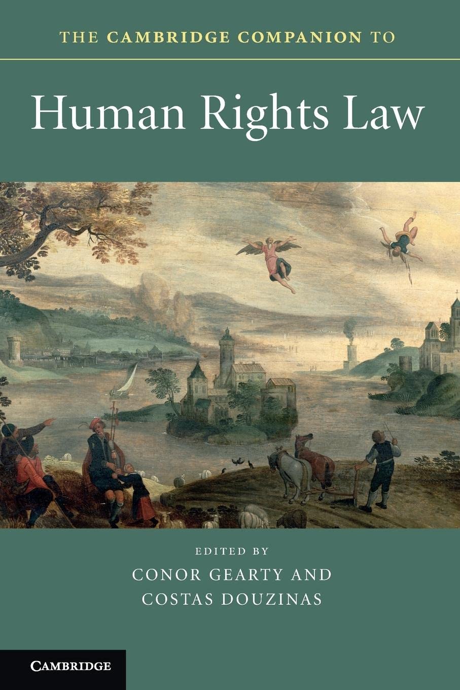 The Cambridge Companion to Human Rights Law (Cambridge Companions to Law) Law