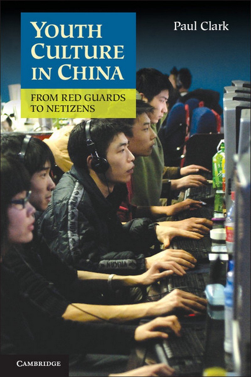 Youth Culture in China: From Red Guards to Netizens book