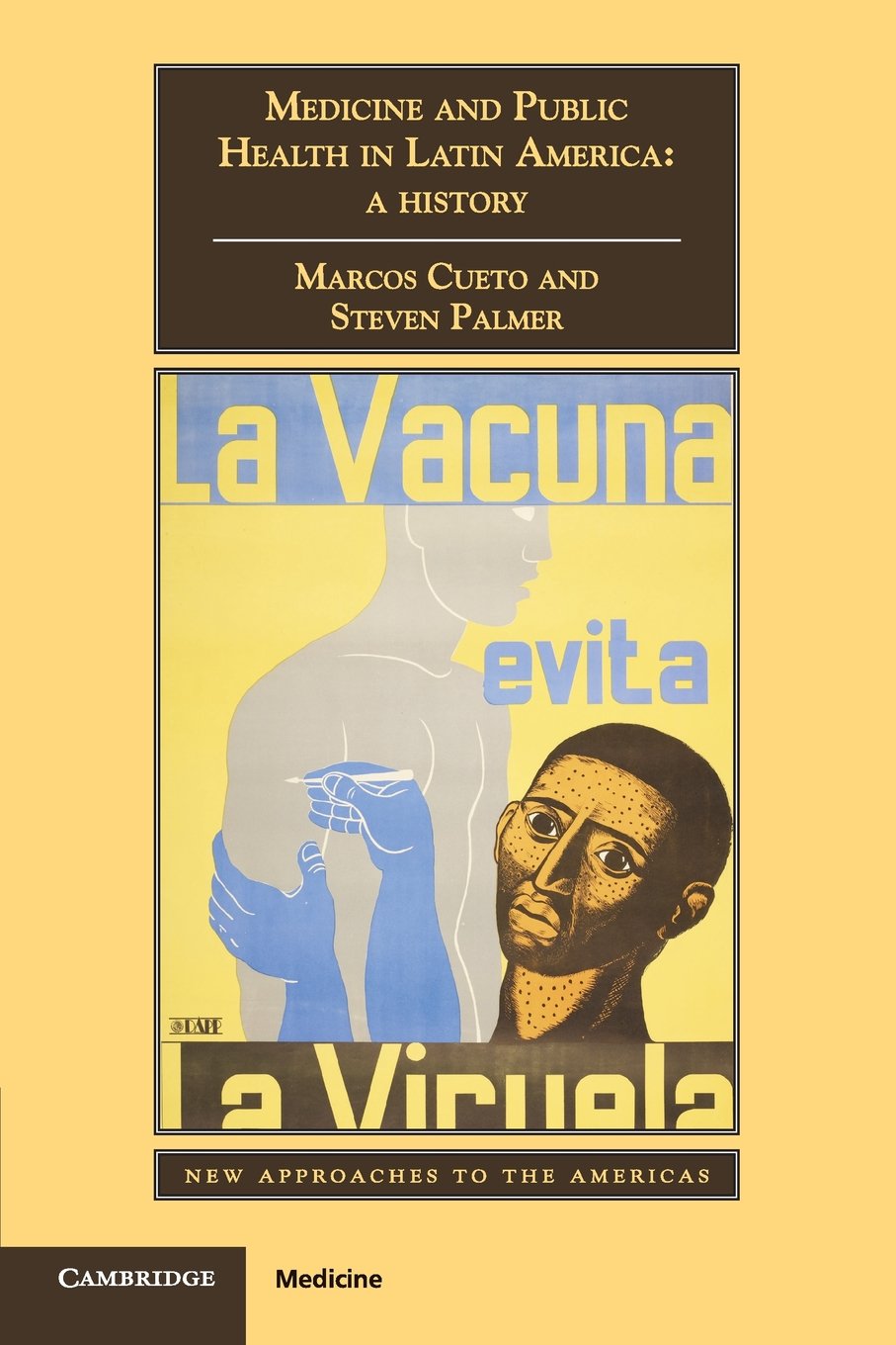 Medicine and Public Health in Latin America: A History (New Approaches to the Americas) Medicine
