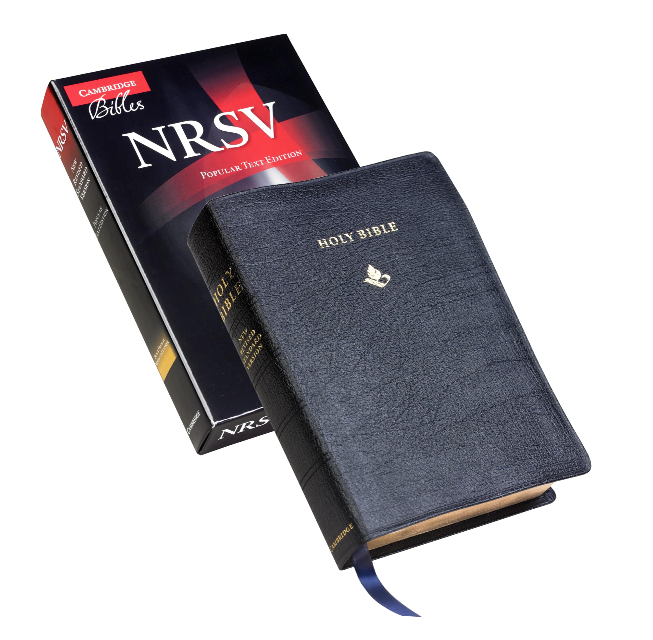 NRSV Popular Text Edition, Black French Morocco Leather: New Revised Standard Version, Black French Morocco, Popular Text Film, Art & Culture