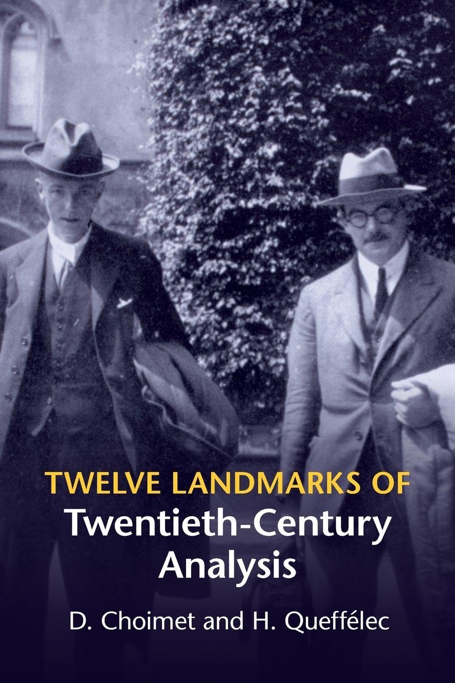 Twelve Landmarks of Twentieth-Century Analysis Mathematics
