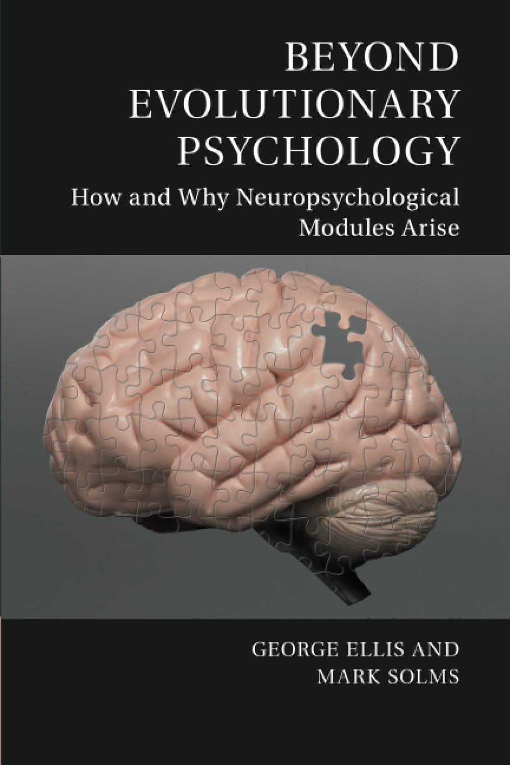 Beyond Evolutionary Psychology: How and Why Neuropsychological Modules Arise (Culture and Psychology) Medicine
