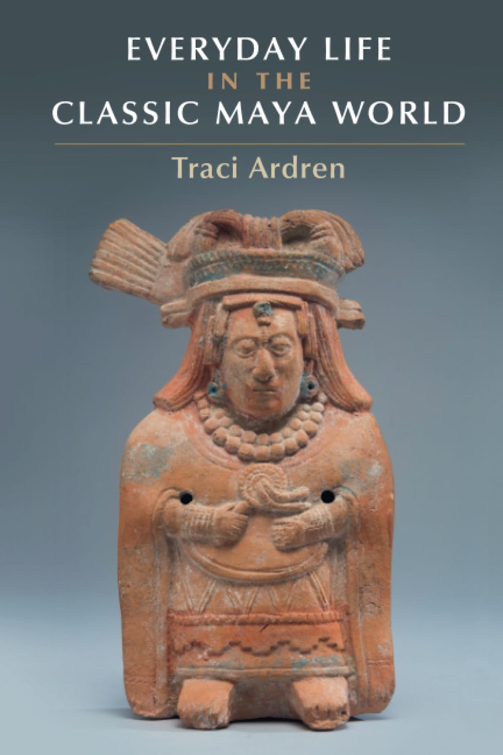 Everyday Life in the Classic Maya World Medicine