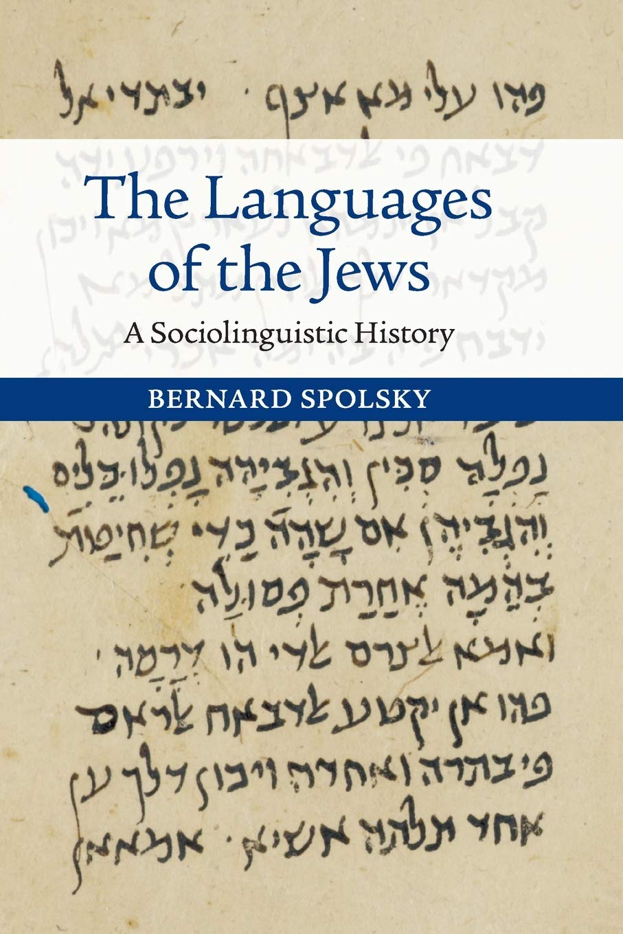 The Languages of the Jews: A Sociolinguistic History Religion & Esotericism