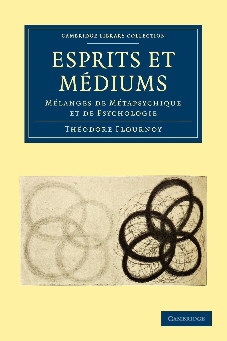 Esprits et Médiums: Mélanges de Métapsychique et de Psychologie book