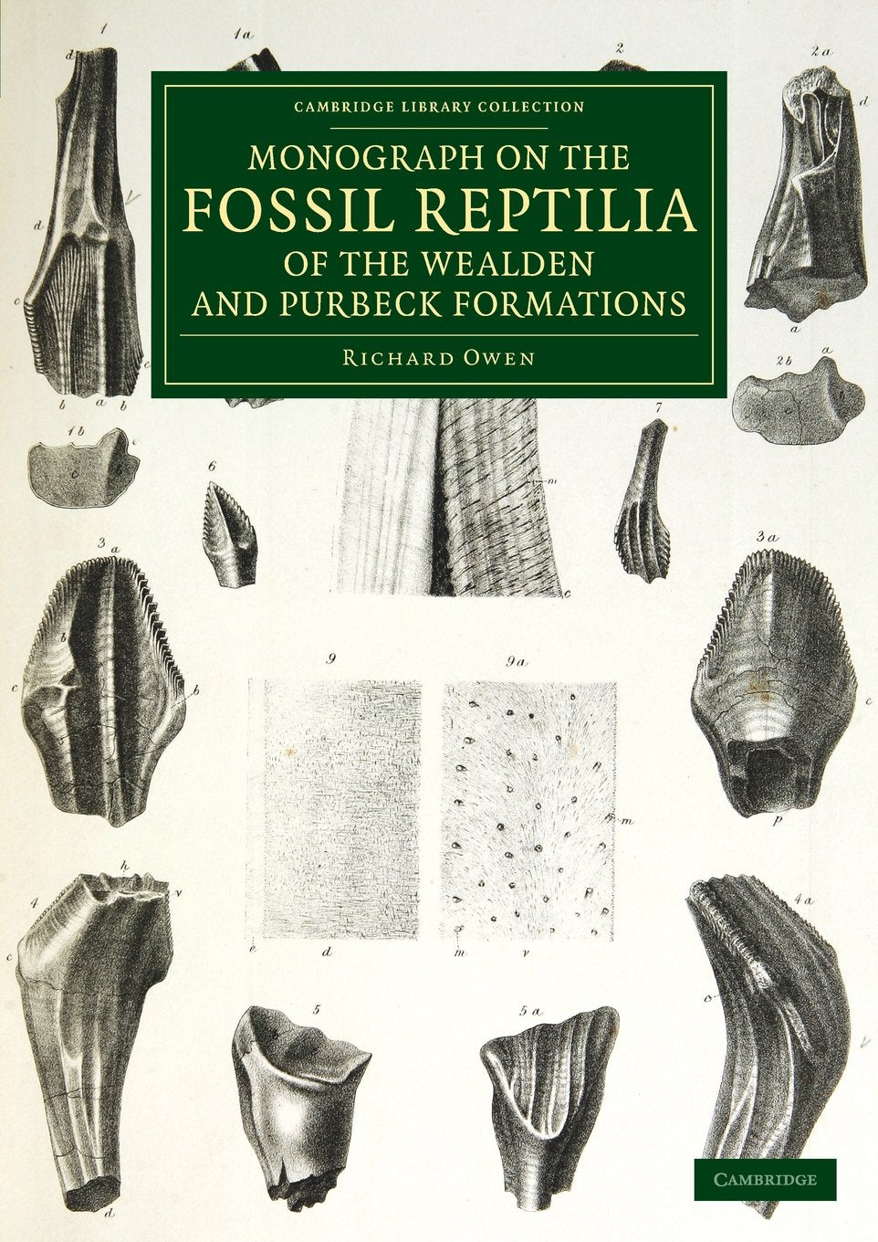 Monograph on the Fossil Reptilia of the Wealden and Purbeck Formations book