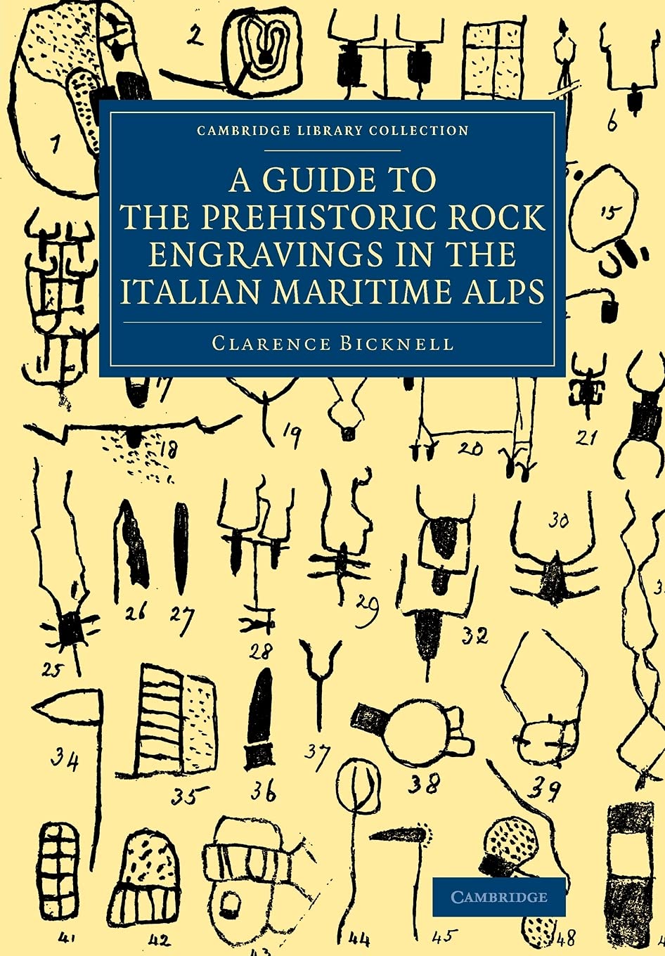 A Guide to the Prehistoric Rock Engravings in the Italian Maritime Alps book