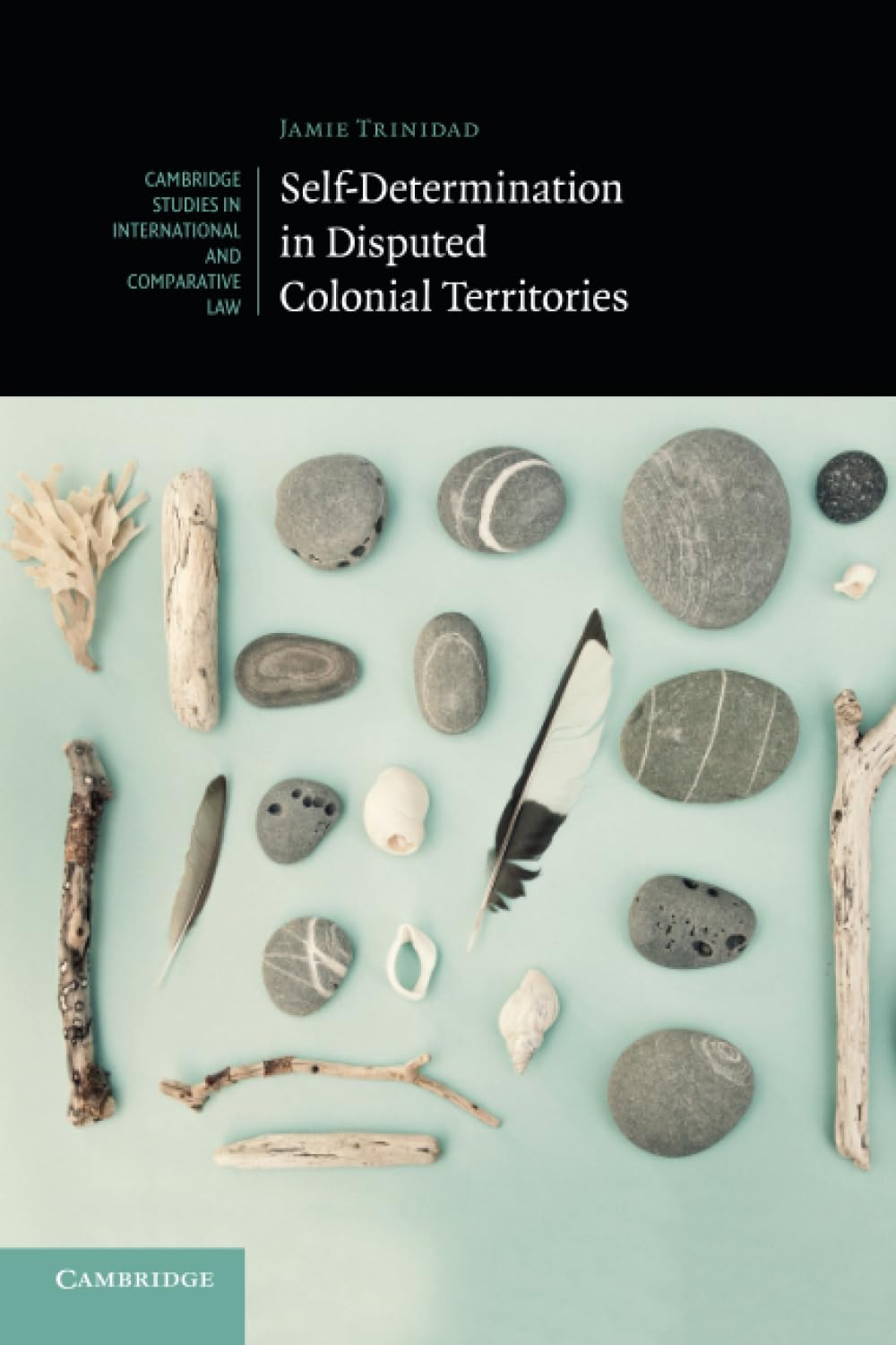 Self-Determination in Disputed Colonial Territories book