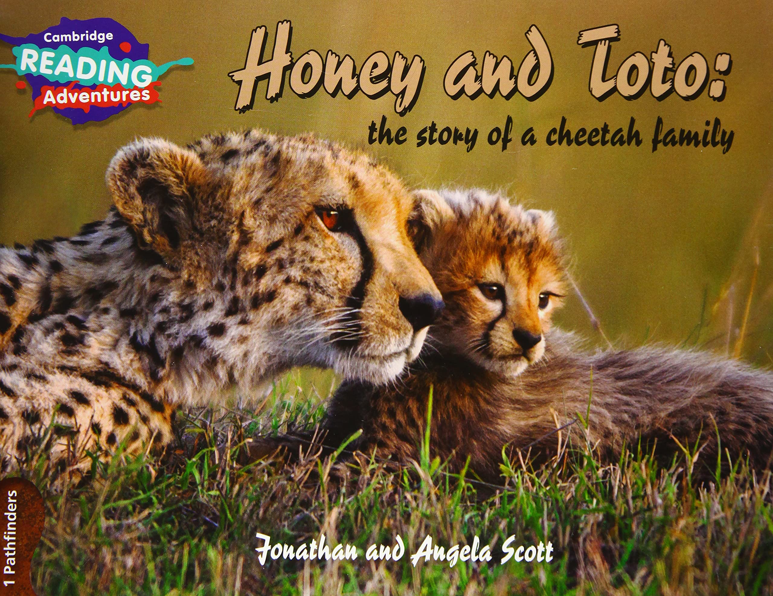 Honey and Toto: The Story of a Cheetah Family 1 Pathfinders (Cambridge Reading Adventures) Novels & Short Stories