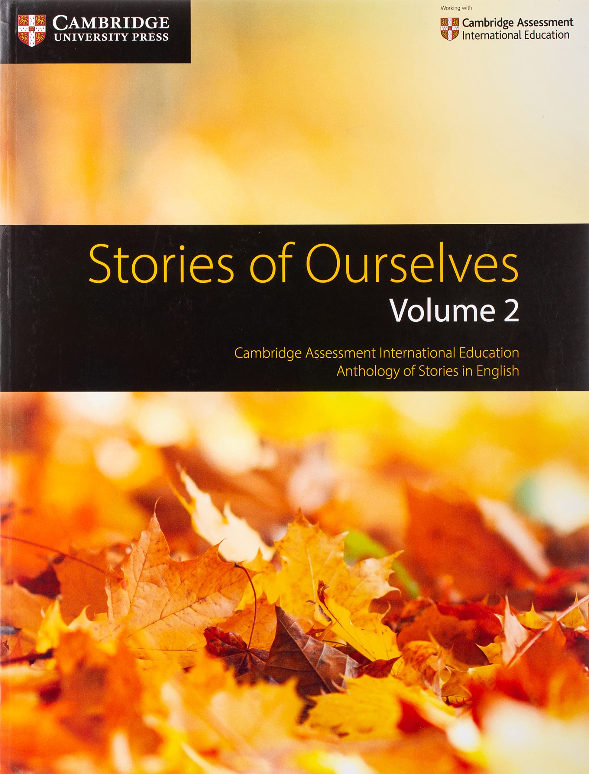 Stories of Ourselves: Volume 2 Contemporary literature