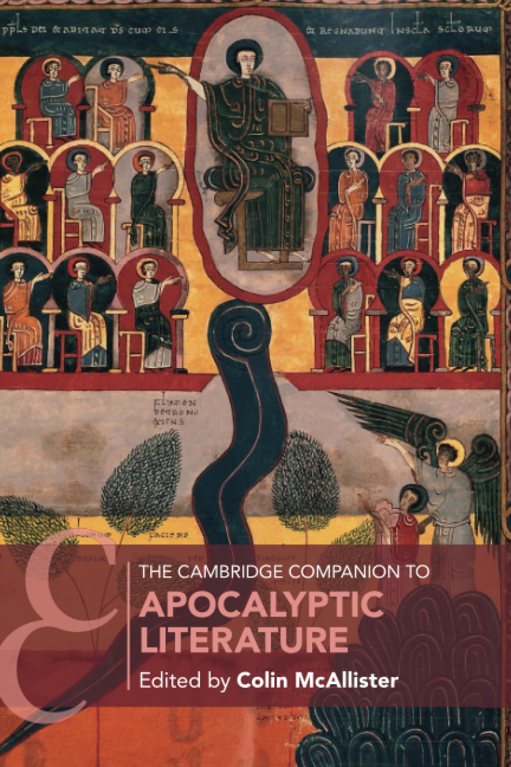 The Cambridge Companion to Apocalyptic Literature (Cambridge Companions to Religion) Contemporary literature Books