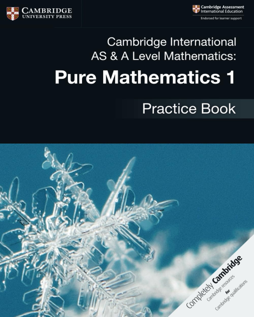 Cambridge International AS & A Level Mathematics: Pure Mathematics 1 Practice Book Professional & Reference Books