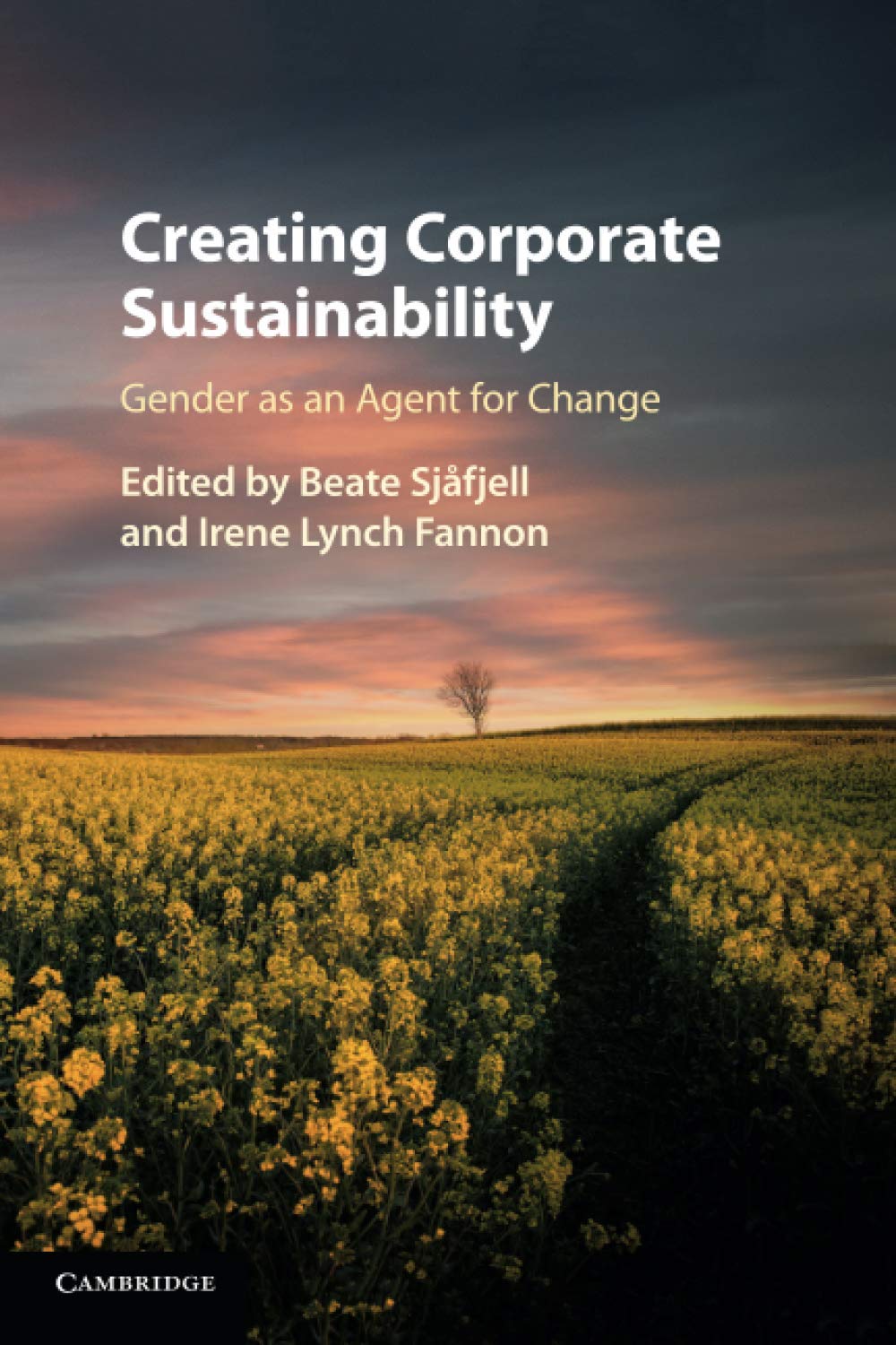 Creating Corporate Sustainability Law Books