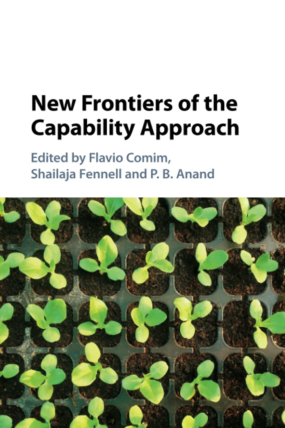 Product Image: New Frontiers of the Capability Approach