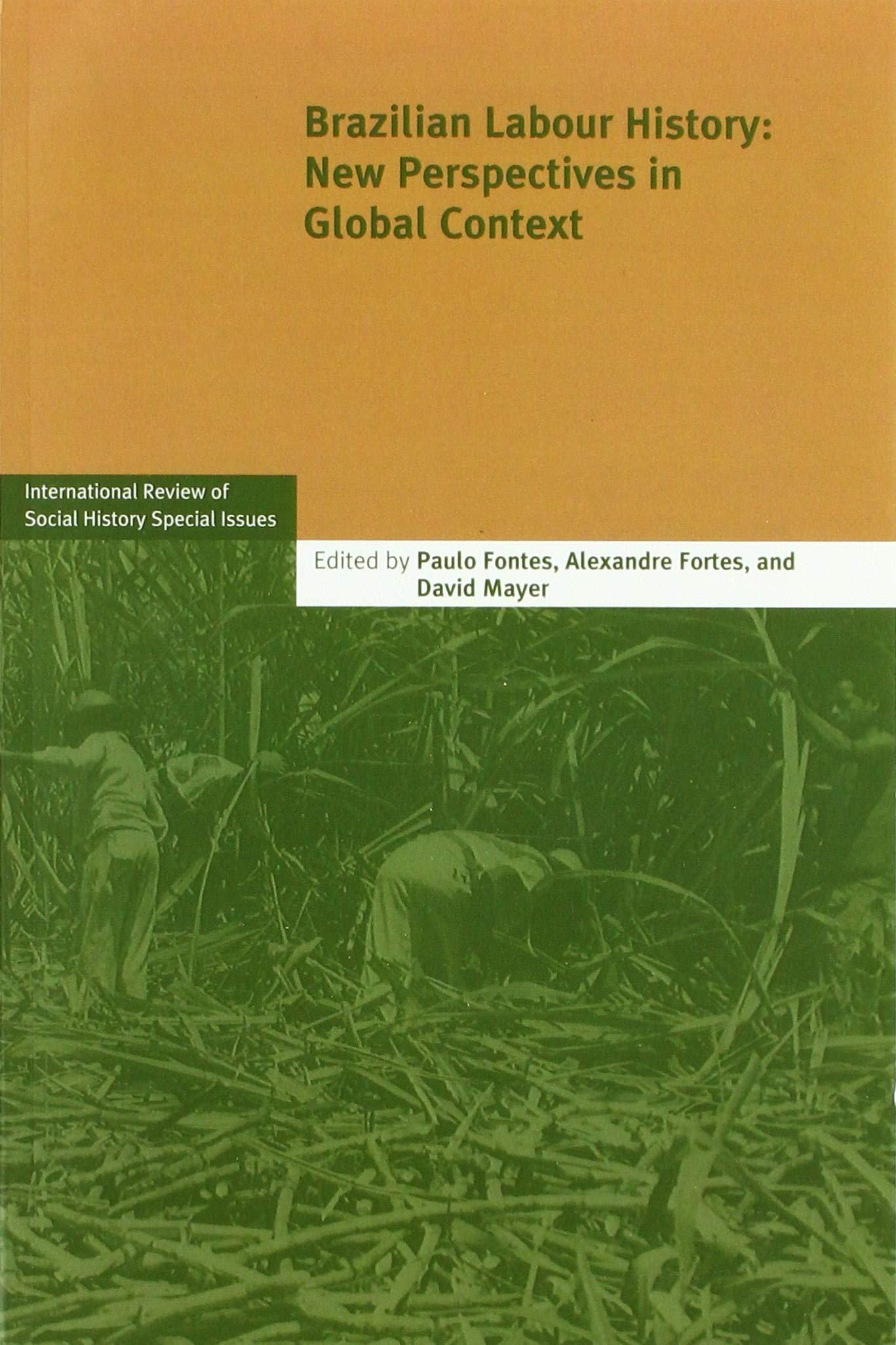Brazilian Labour History: New Perspectives in Global Context (International Review of Social History Supplements, Band 25) (International Review of Social History Special Issue, Band 25) Politics & History