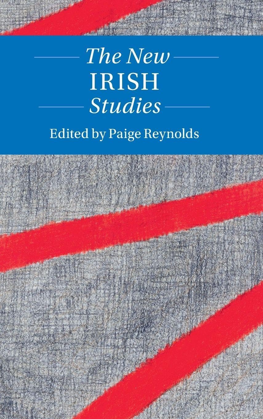 Product Image: The New Irish Studies