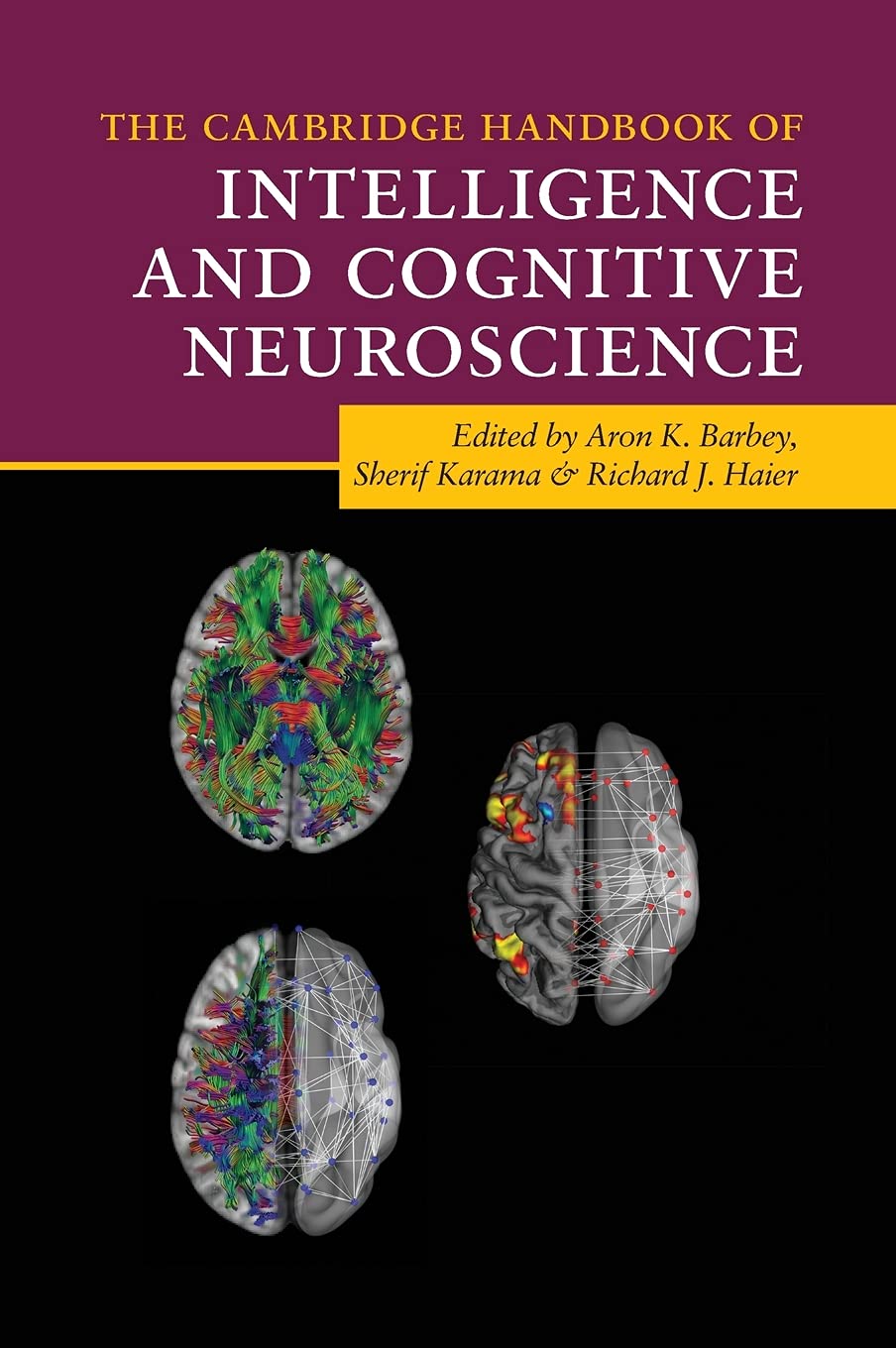 The Cambridge Handbook of Intelligence and Cognitive Neuroscience Reference Books