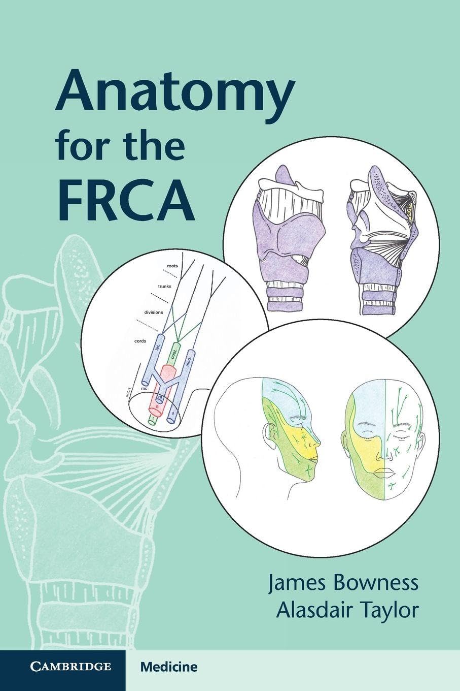 Anatomy for the FRCA Medicine
