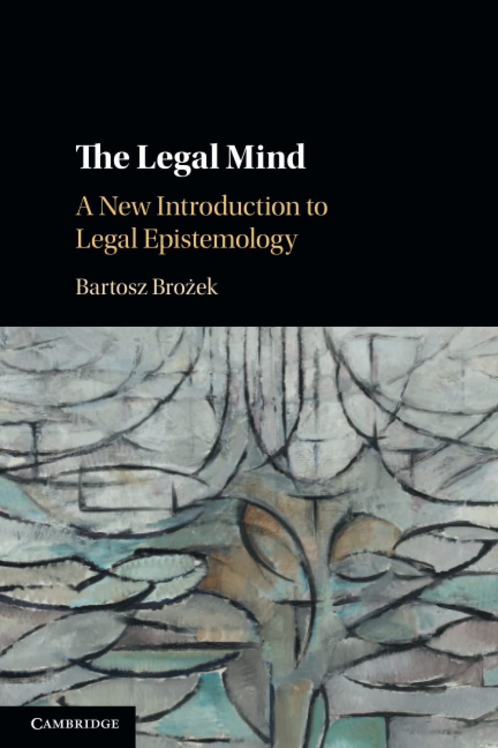 The Legal Mind: A New Introduction to Legal Epistemology Law