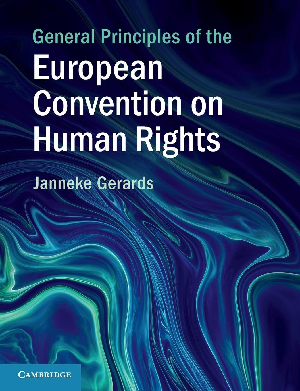 General Principles of the European Convention on Human Rights Law