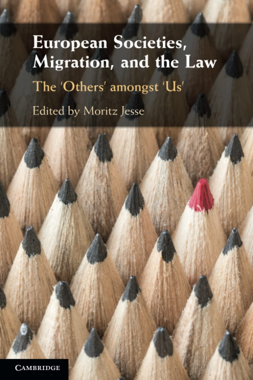 European Societies, Migration, and the Law: The Others Amongst Us Law