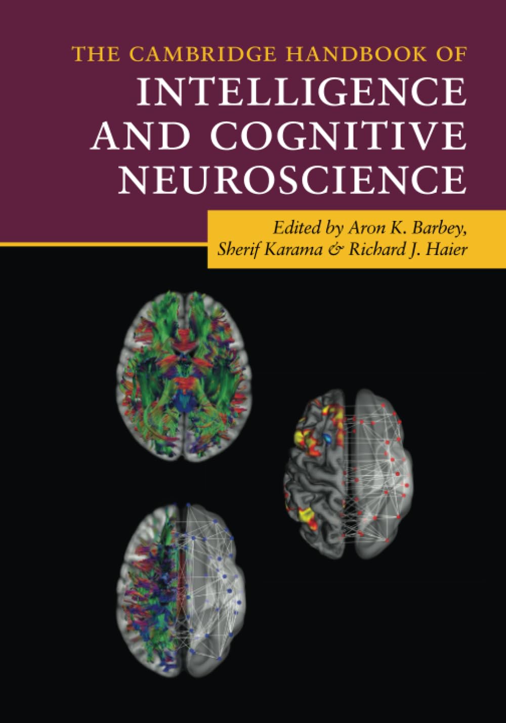 The Cambridge Handbook of Intelligence and Cognitive Neuroscience Reference Books