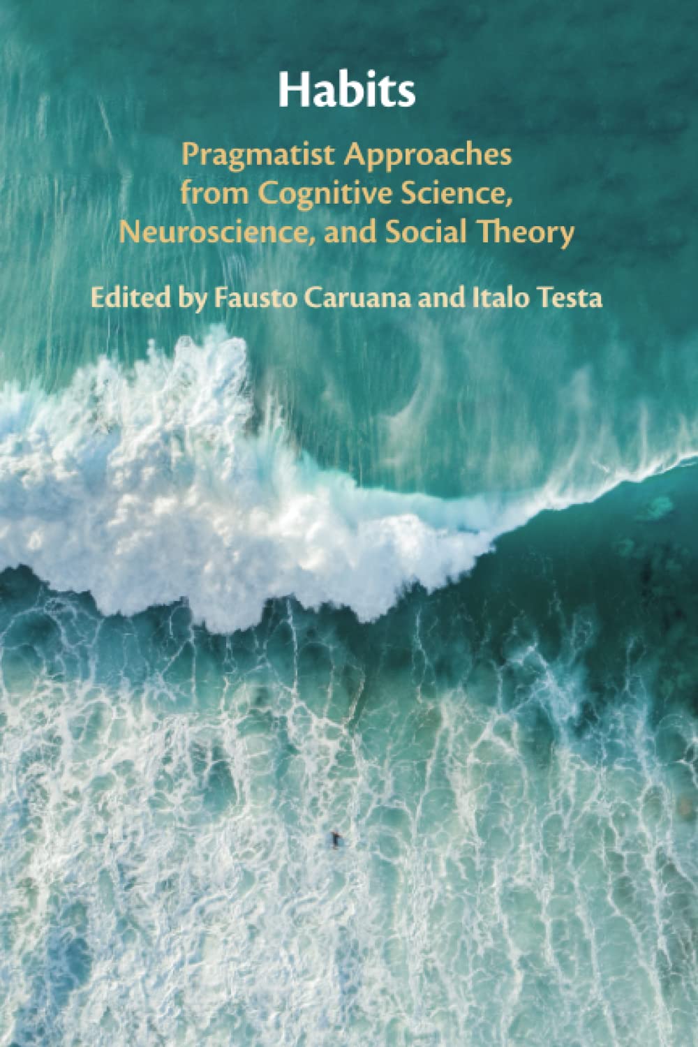 Habits: Pragmatist Approaches from Cognitive Science, Neuroscience, and Social Theory Philosophy